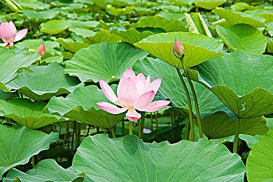 TGA：《黑街圣徒：重启版》预告公布 8月23日上线